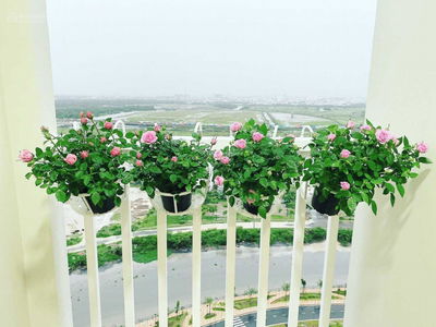 Homyland Riverside, Vietnam Homyland Riverside, Vietnam