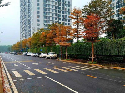 My Dinh Pearl Project, Vietnam My Dinh Pearl Project, Vietnam