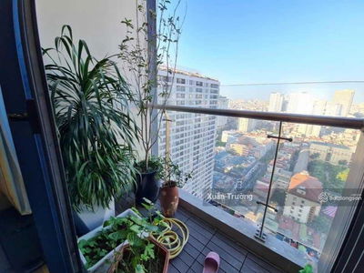 137, Vietnam 137, Vietnam