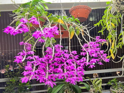 Truong Dinh Complex Project, Vietnam Truong Dinh Complex Project, Vietnam