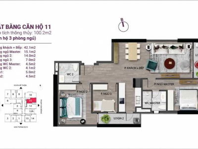 The Nine, Vietnam The Nine, Vietnam