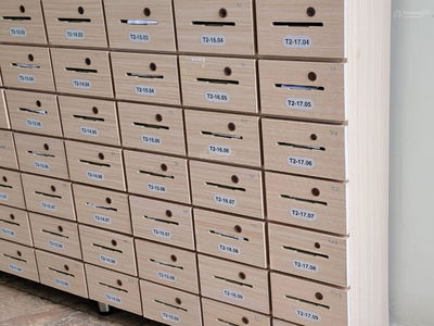 Calla Garden, Vietnam Calla Garden, Vietnam