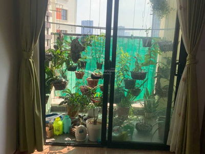 - CT2 To Hieu, Vietnam - CT2 To Hieu, Vietnam