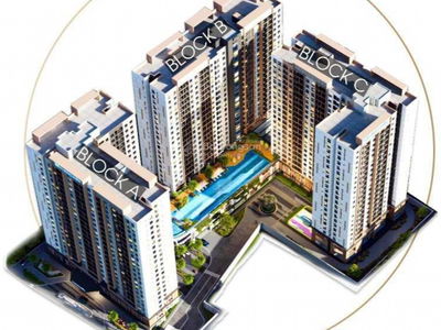 The Privia The Privia