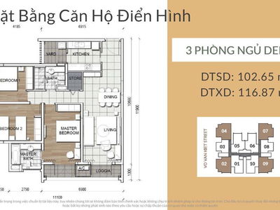 Zenith, Vietnam Zenith, Vietnam