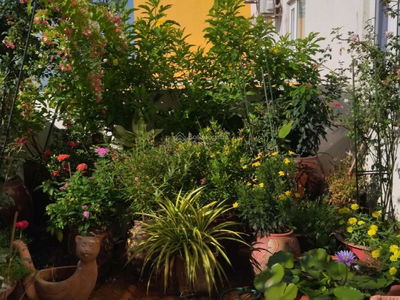 The CBD Premium Home, Vietnam The CBD Premium Home, Vietnam