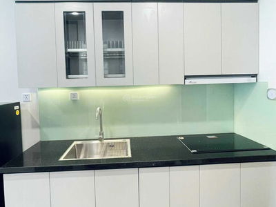 The Miami Project, Vietnam The Miami Project, Vietnam