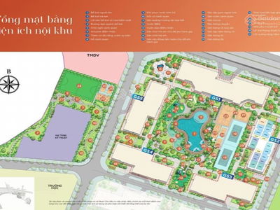 The Miami Project, Vietnam The Miami Project, Vietnam