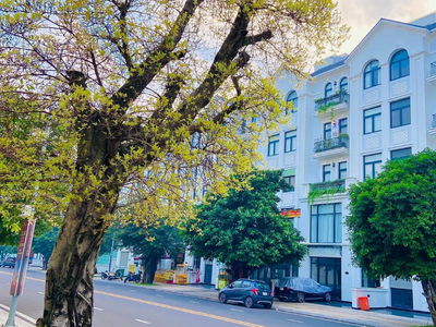 Vinhomes Grand Park, Vietnam Vinhomes Grand Park, Vietnam