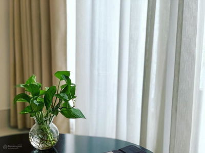 Scenic Valley 1, Vietnam Scenic Valley 1, Vietnam