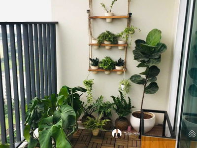 Green View, Vietnam Green View, Vietnam