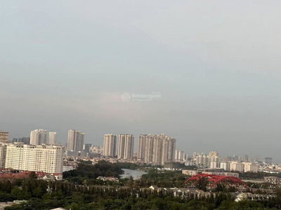 The Easter City, Vietnam  The Easter City, Vietnam