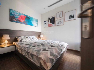 The Golden Armor Project, Vietnam The Golden Armor Project, Vietnam