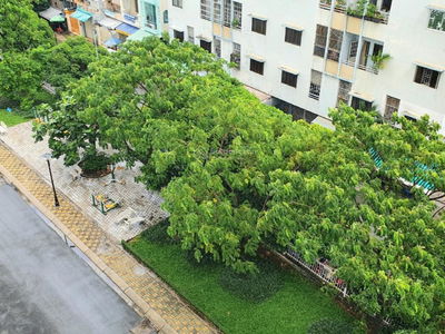 Chanh Hung Giai Viet, Vietnam Chanh Hung Giai Viet, Vietnam