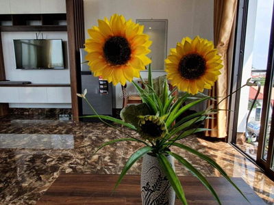 Lane 310, Vietnam  Lane 310, Vietnam