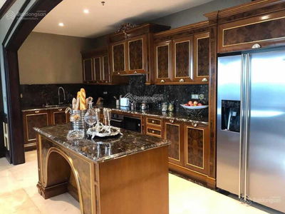 The Golden Armor, Vietnam The Golden Armor, Vietnam