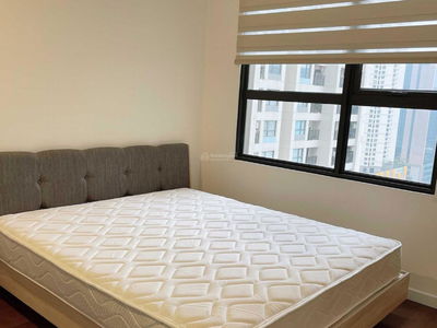 Iris Garden, Vietnam Iris Garden, Vietnam