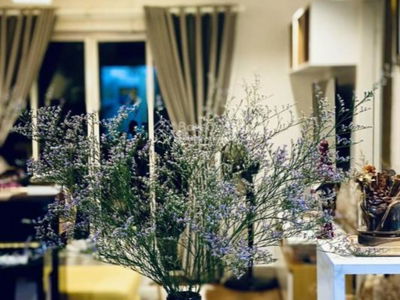 Viva Riverside, Vietnam Viva Riverside, Vietnam