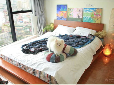 Ngoc Khanh Plaza, Vietnam Ngoc Khanh Plaza, Vietnam