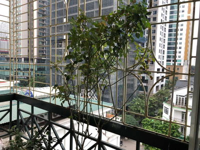 Logement dans Ha GJong, Vietnam  Logement dans Ha GJong, Vietnam