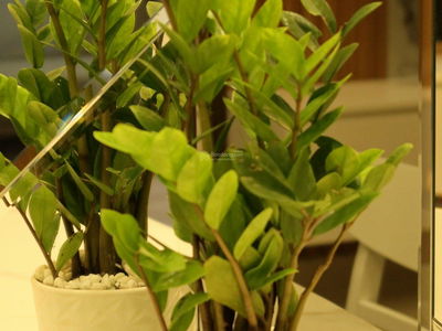 District 7 Boulevard, Vietnam District 7 Boulevard, Vietnam