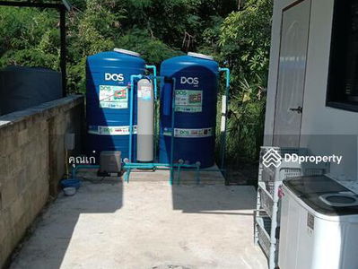 AHD1619, Chiang Mai, Thailand AHD1619, Chiang Mai, Thailand