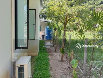 AHD1619, Chiang Mai, Thailand AHD1619, Chiang Mai, Thailand