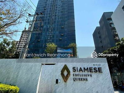 Siamese Exclusive Queens, Bangkok, Thailand Siamese Exclusive Queens, Bangkok, Thailand
