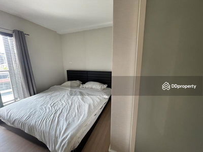 D 25 Thonglor condominium, Bangkok, Thailand D 25 Thonglor condominium, Bangkok, Thailand