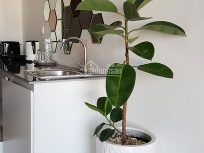 Cong Hoa Plaza, Vietnam Cong Hoa Plaza, Vietnam