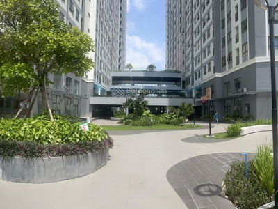 Saigon Intela, Vietnam Saigon Intela, Vietnam