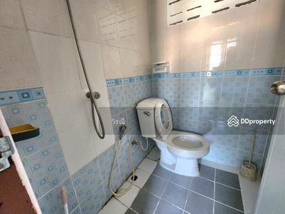 House for rent, one floor, 2 floors, Nakhon Ratchasima., Thailand House for rent, one floor, 2 floors, Nakhon Ratchasima., Thailand