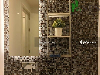 Condo for rent The Room Sukhumvit 69 (SPSAM980), Bangkok, Thailand Condo for rent The Room Sukhumvit 69 (SPSAM980), Bangkok, Thailand