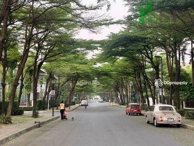 Single house for rent BLUE LAGOON BANGNA KM.8. (SPSAM981), Bangkok, Thailand Single house for rent BLUE LAGOON BANGNA KM.8. (SPSAM981), Bangkok, Thailand