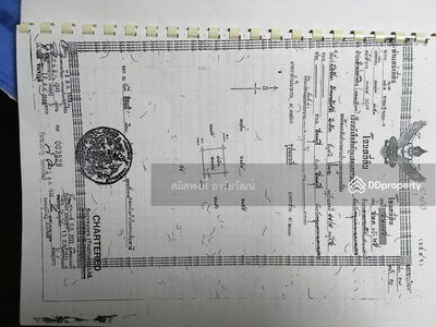 Land for rent 16,000.-B/m near Suvarnabhumi airport, Bangkok, Thailand Land for rent 16,000.-B/m near Suvarnabhumi airport, Bangkok, Thailand