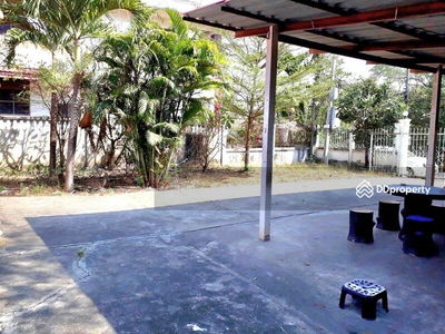 Single-storey detached house for rent, near the terminal, lots of space, Nakhon Ratchasima, Thailand Single-storey detached house for rent, near the terminal, lots of space, Nakhon Ratchasima, Thailand