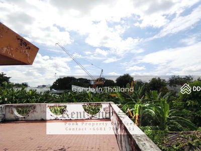 House with big lawn & garden for rent in ekkamai 22 for commercial. Seriouse inquiry 0817010651, Bangkok, Thailand House with big lawn & garden for rent in ekkamai 22 for commercial. Seriouse inquiry 0817010651, Bangkok, Thailand