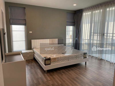 AMR0474, Chiang Mai, Thailand AMR0474, Chiang Mai, Thailand