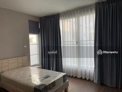 AMR0474, Chiang Mai, Thailand AMR0474, Chiang Mai, Thailand