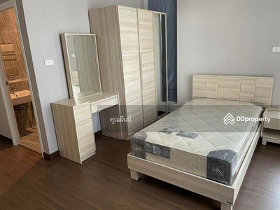 AMR0474, Chiang Mai, Thailand AMR0474, Chiang Mai, Thailand