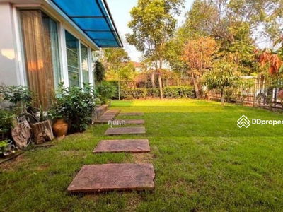 ADK0559, Chiang Mai, Thailand ADK0559, Chiang Mai, Thailand