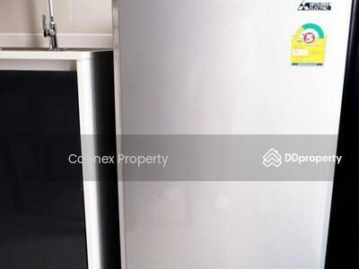 The Tree Sukhumvit 71-Ekamai, Bangkok, Thailand The Tree Sukhumvit 71-Ekamai, Bangkok, Thailand