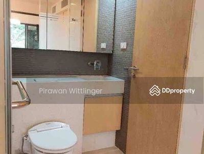 Siamese Gioia, Bangkok, Thailand Siamese Gioia, Bangkok, Thailand