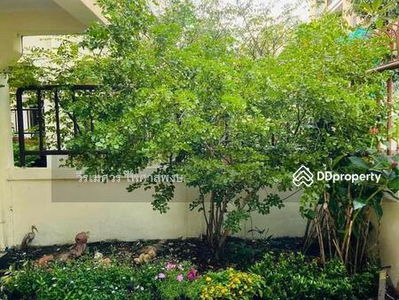 For rent, 4-story single house, Sukhumvit 31, near BTS Phrom Phong, Emporium, area 40 sq m, 4 bedrooms, 5 bathrooms, Bangkok, Thailand For rent, 4-story single house, Sukhumvit 31, near BTS Phrom Phong, Emporium, area 40 sq m, 4 bedrooms, 5 bathrooms, Bangkok, Thailand