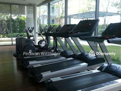 The Room Sulkumvit 62, Bangkok, Thailand The Room Sulkumvit 62, Bangkok, Thailand