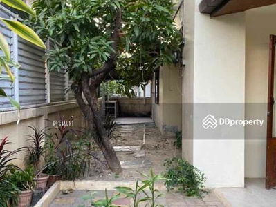 A4MG2139, Chiang Mai, Thailand A4MG2139, Chiang Mai, Thailand