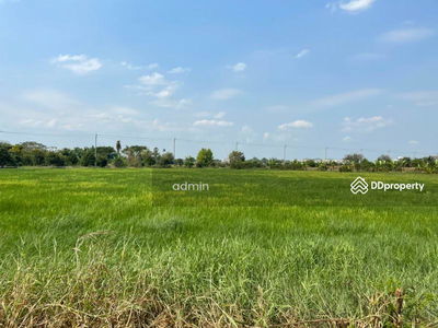 Land for rent 7-1-63 rai, next to Ratchaphruek Road, Nonthaburi., Thailand Land for rent 7-1-63 rai, next to Ratchaphruek Road, Nonthaburi., Thailand