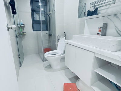 Topaz Twins, Vietnam Topaz Twins, Vietnam