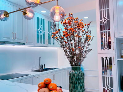 Topaz Twins, Vietnam Topaz Twins, Vietnam