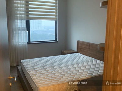 Green Stars, Vietnam Green Stars, Vietnam